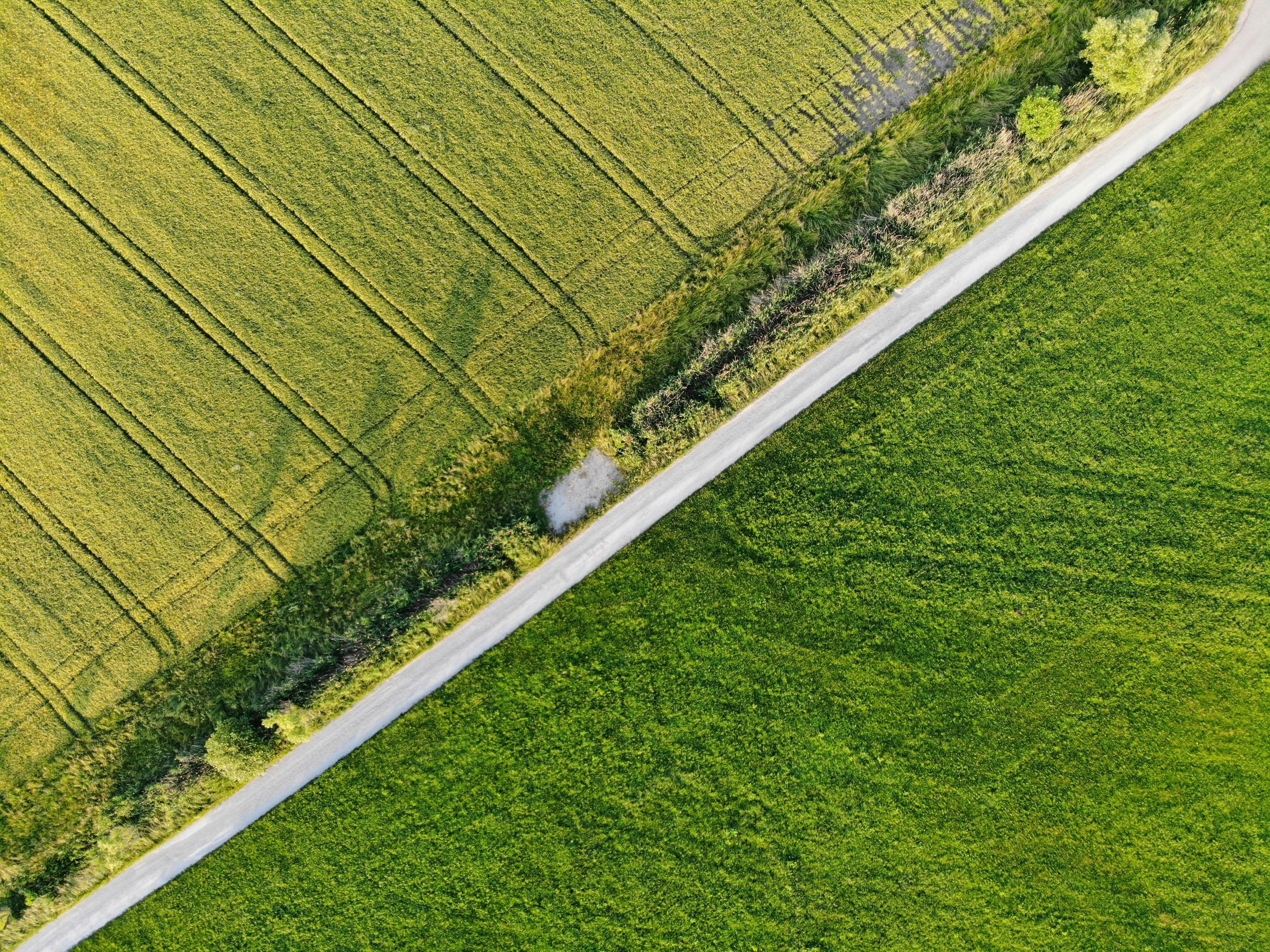 cost of land